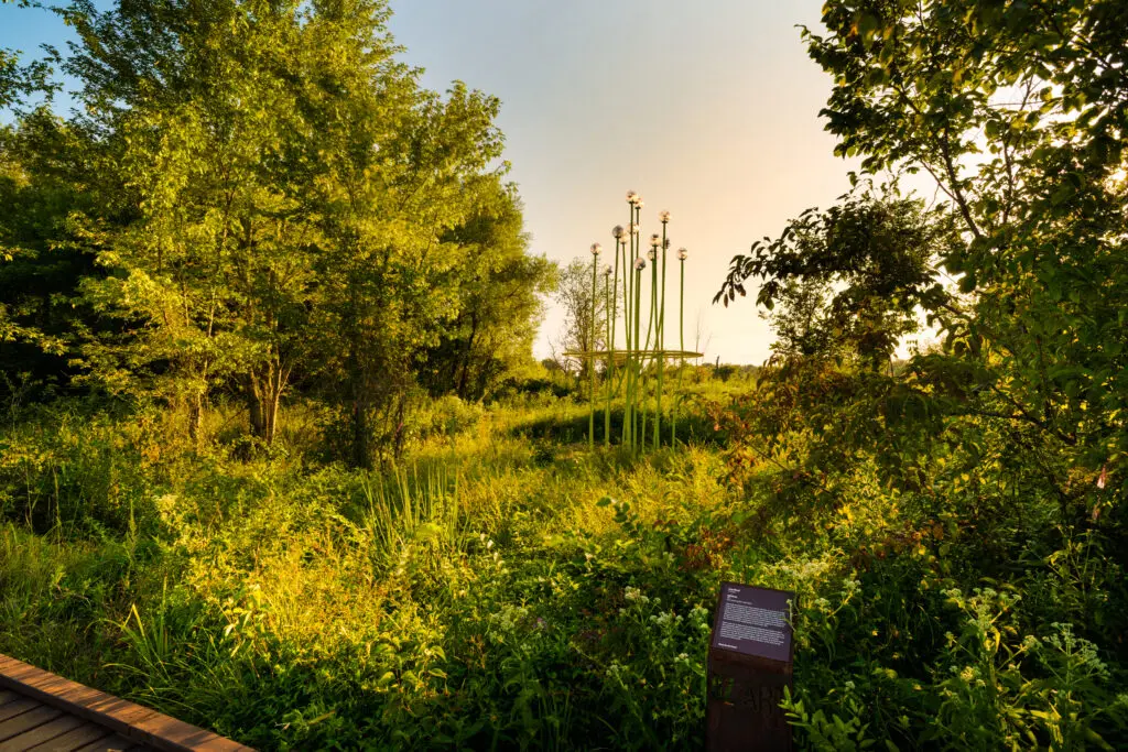A lush green landscape with tall grass and trees, featuring a modern art sculpture of tall, thin poles with glass bulbs. A wooden path and informational sign are in the foreground, and sunlight filters through the scene.
