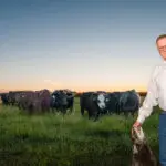 A man in a light shirt stands in a green field at sunset, petting two dogs while a herd of cattle grazes in the background under a clear sky.
