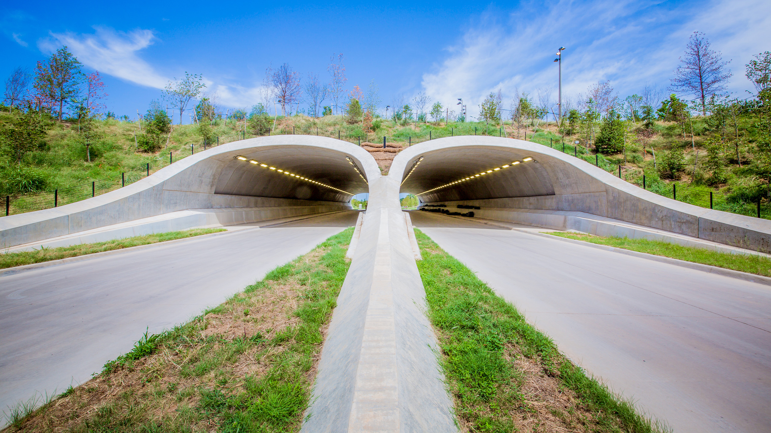 A divided roadway passes through a double-arched tunnel under a grassy, tree-covered hill, with bright blue sky and scattered clouds above.