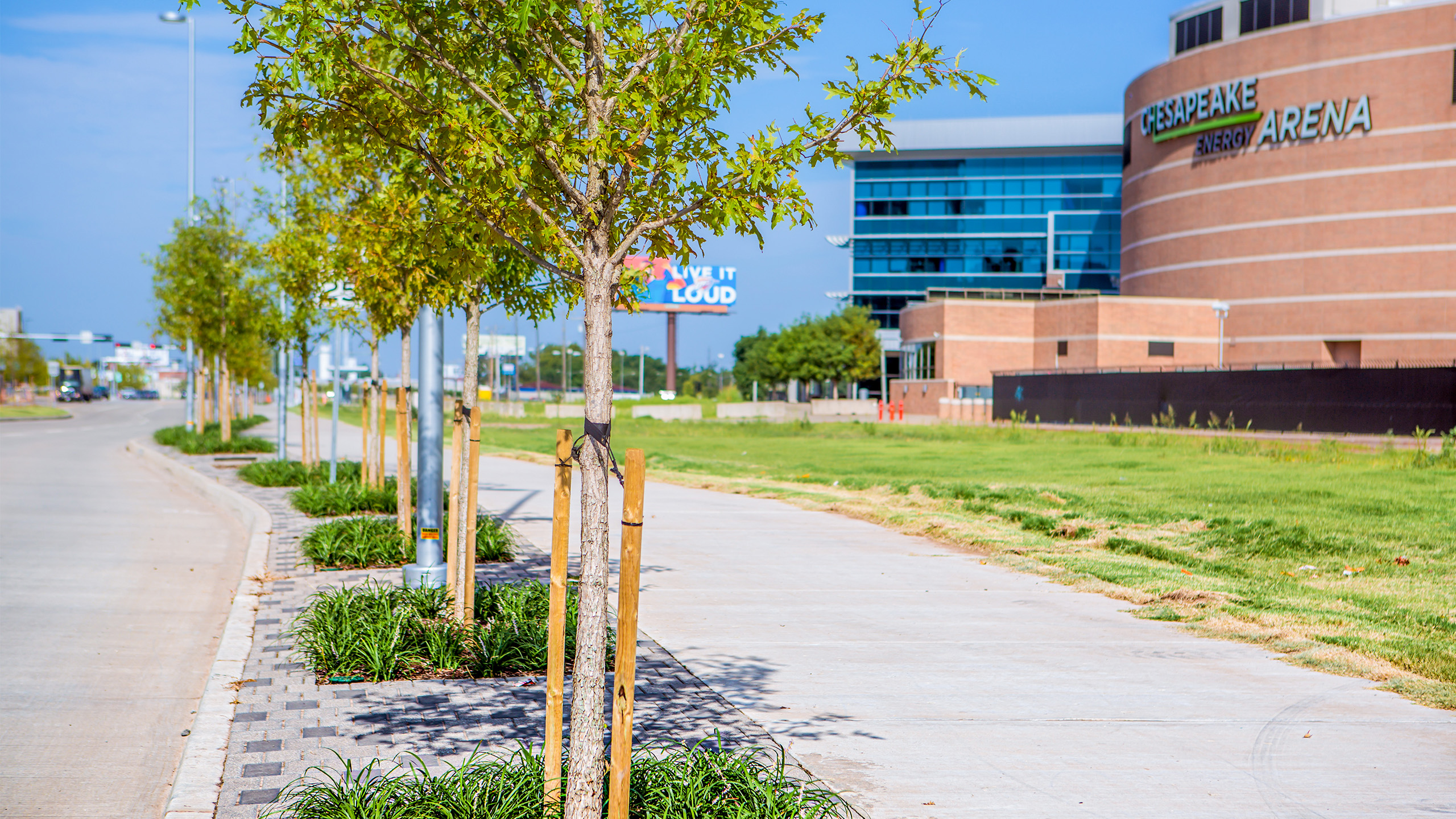 Young trees line a sidewalk next to a grassy area and a large brick arena building under a blue sky, with a “Live It Loud” sign visible in the background.