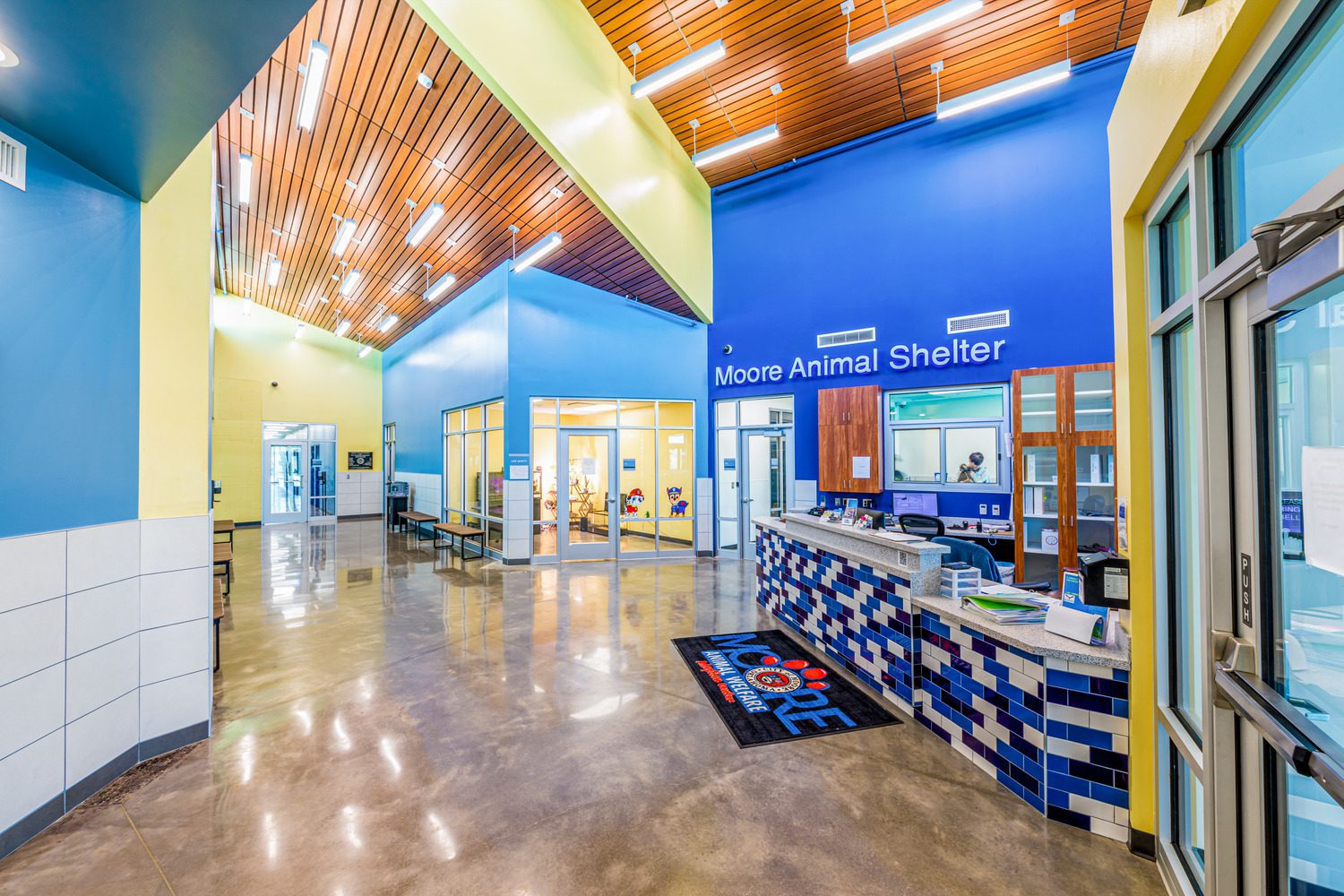 Bright, modern lobby of Moore Animal Shelter with blue walls, a tiled reception desk, glass office doors, and polished floors. The ceiling has wood paneling and many lights. A welcome mat is near the main entrance.