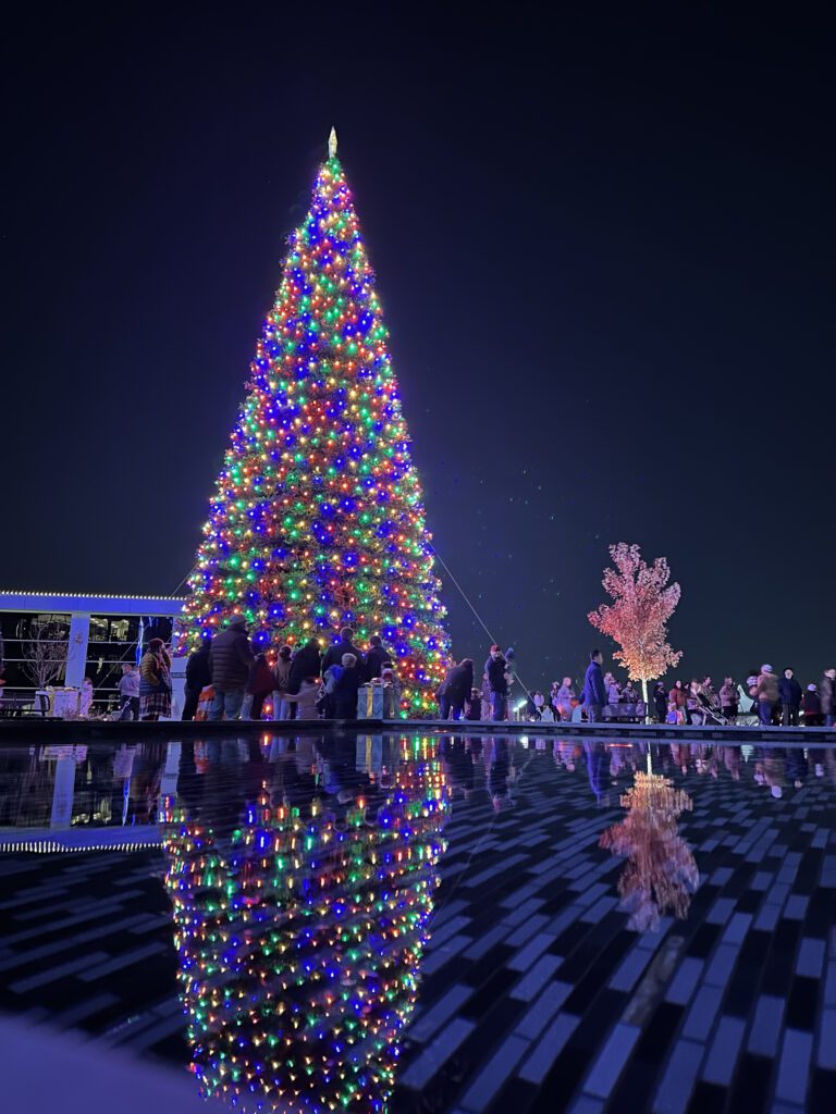 Founders Tree lighting ceremony